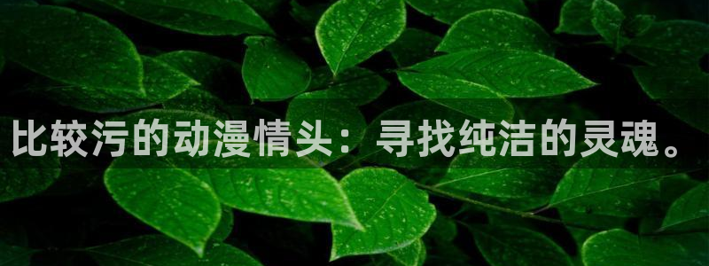 58动漫网 58动漫网